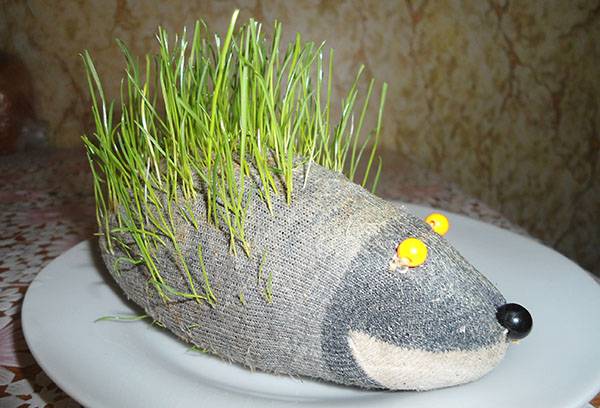 Hedgehog with grass from old tights