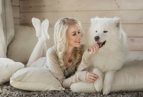 Menina com um cachorro branco em casa