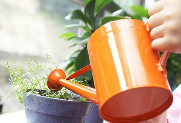 Watering potted plants