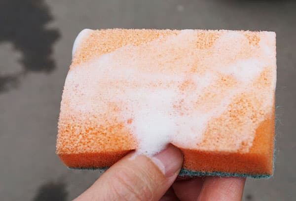 Soapy sponge