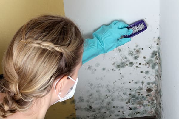 Girl cleans mold from the wall