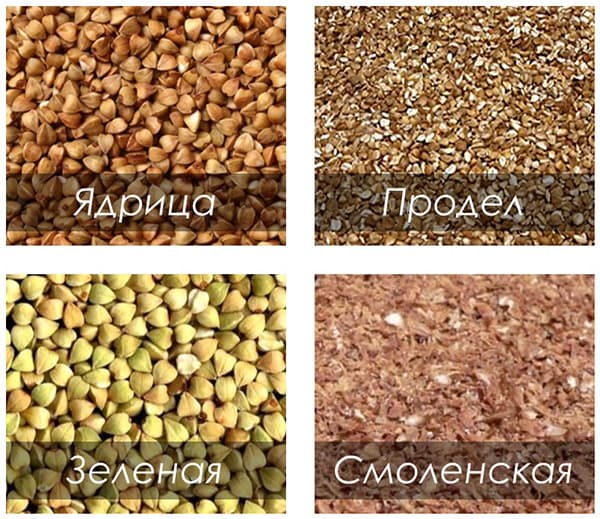 Tipos de trigo sarraceno
