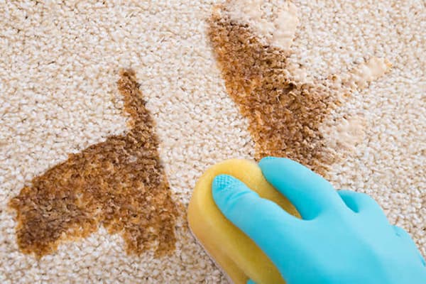 Eliminar manchas de una alfombra ligera