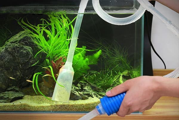 Nettoyage du sol dans un aquarium