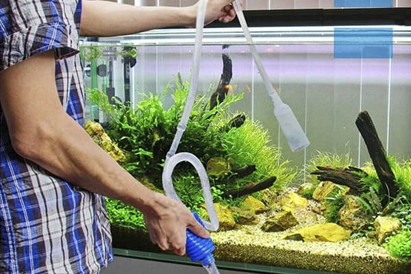 Nettoyage mécanique d'aquarium