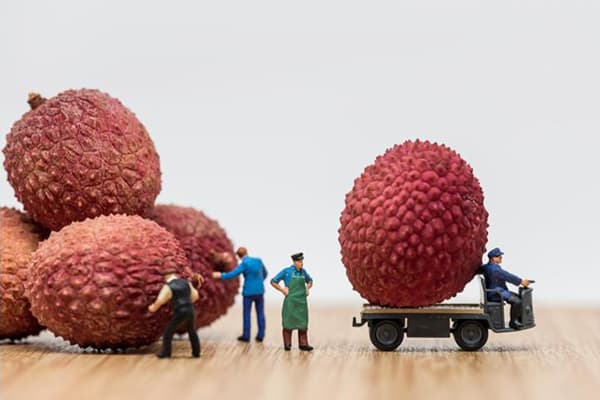 Composition with Lychee Fruits