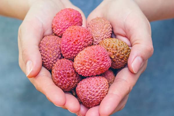 A handful of lychee fruits in the hands