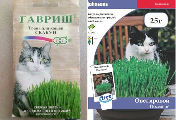 Пазарувайте трева за котки