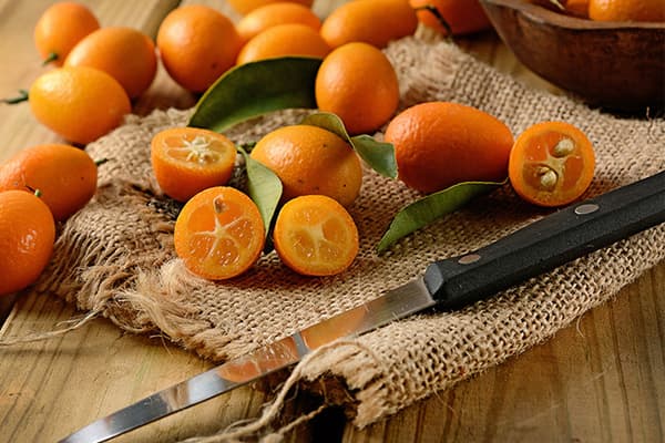 Čerstvý Kumquat