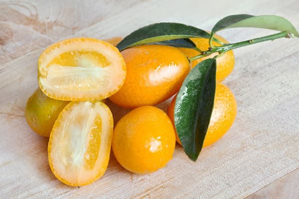 Kumquat gyümölcsök és levelek