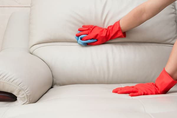 Eco-leather sofa cleaning