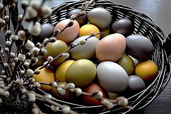 Натурални боядисани яйца