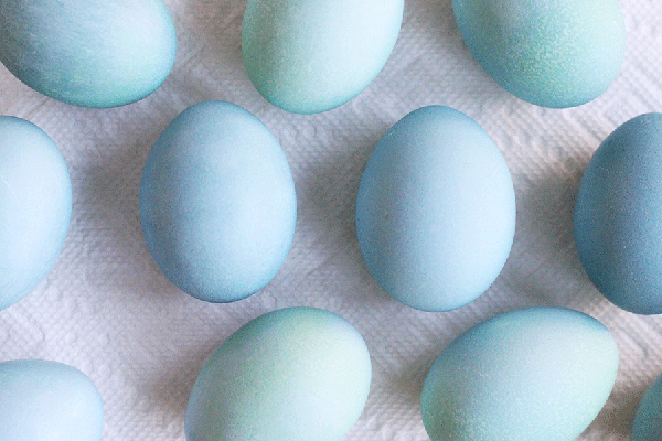 Blue easter eggs