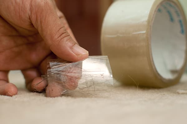 Removing wool from carpet with tape