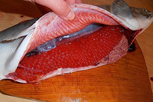 Cutting pink salmon with caviar