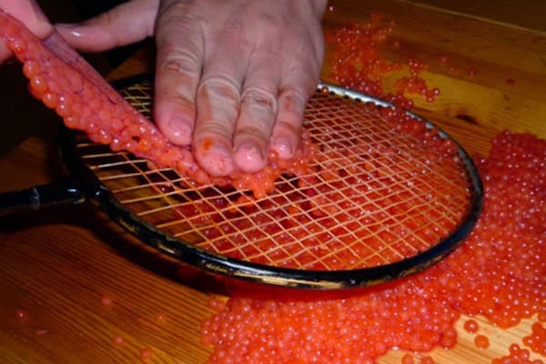 Separation of caviar from the film using a badminton racket