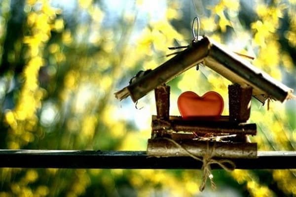 Maison avec un coeur