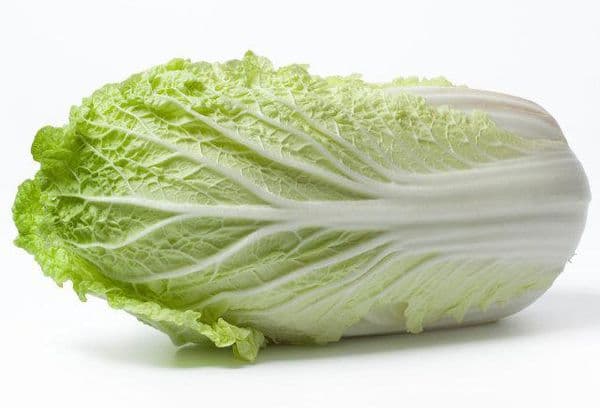 Head of beijing cabbage