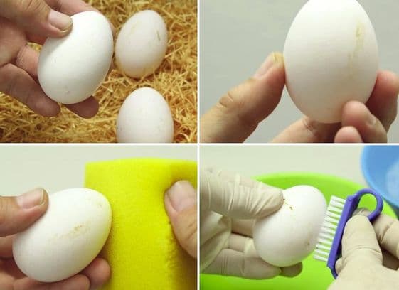 Métodos de limpieza de huevos