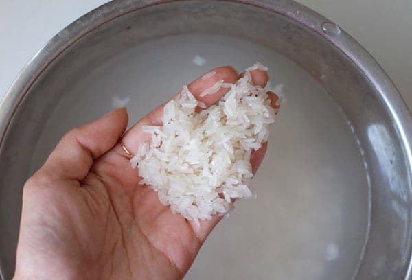 namoczony ryż