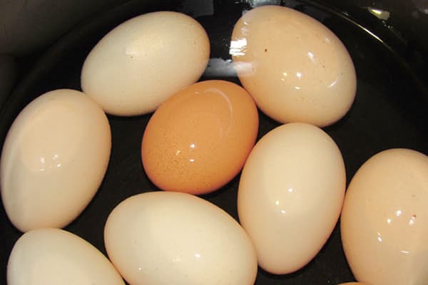 Varené vajcia