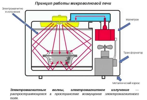 The principle of operation of the microwave oven