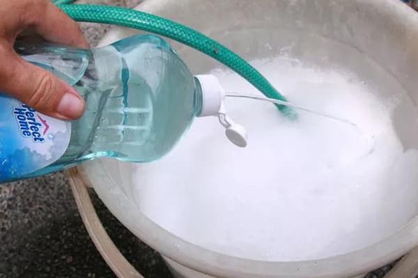 Foamy Dishwashing Detergent