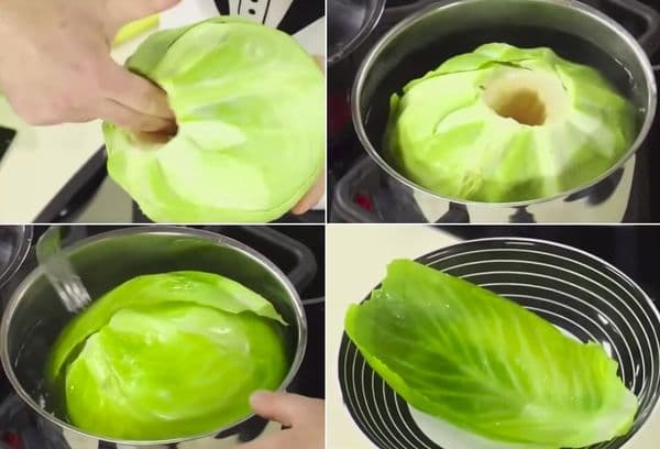 Separation of leaves from cabbage