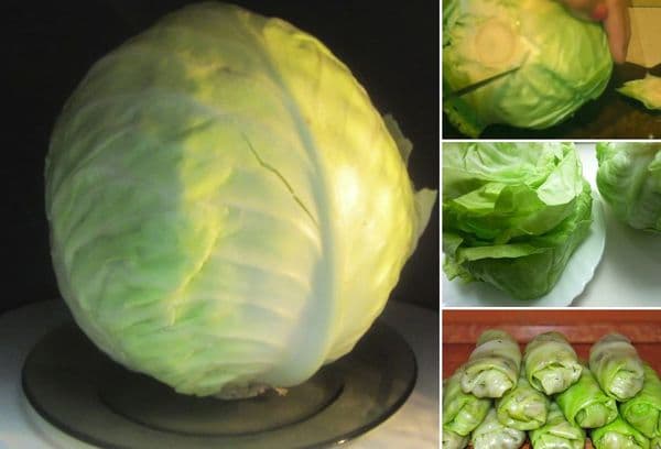 microwave cabbage