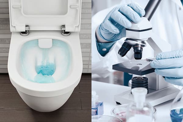 El estudio del entorno microbiológico en el baño.