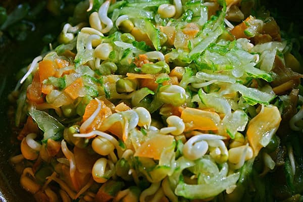 Salade germée