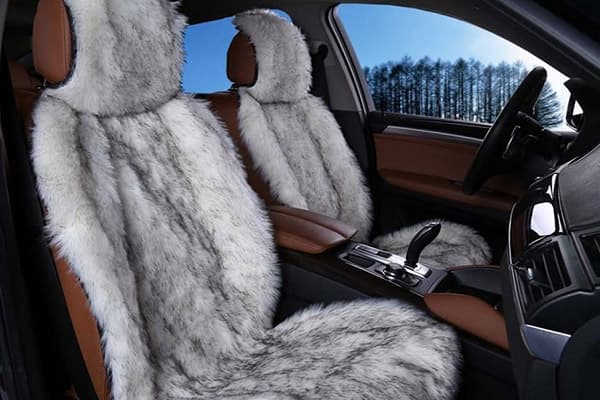 Fur Covers in a Car