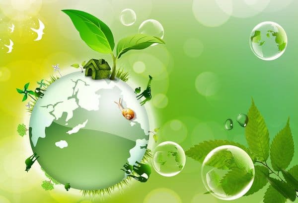 Ecologia ambiental