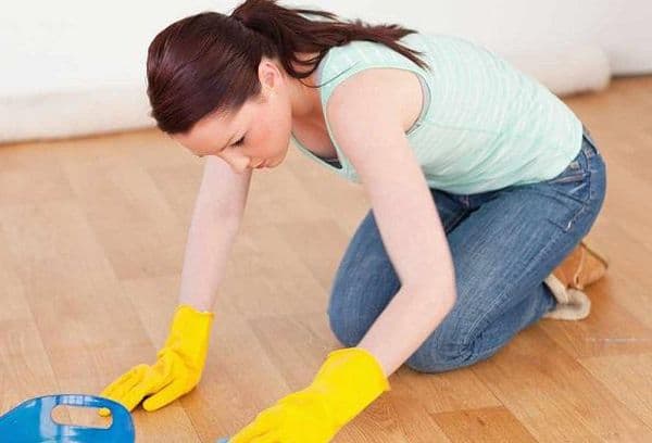 Laminate floor cleaning