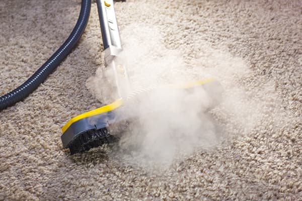 Limpiador de vapor para alfombras