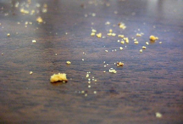 Crumbs on the table