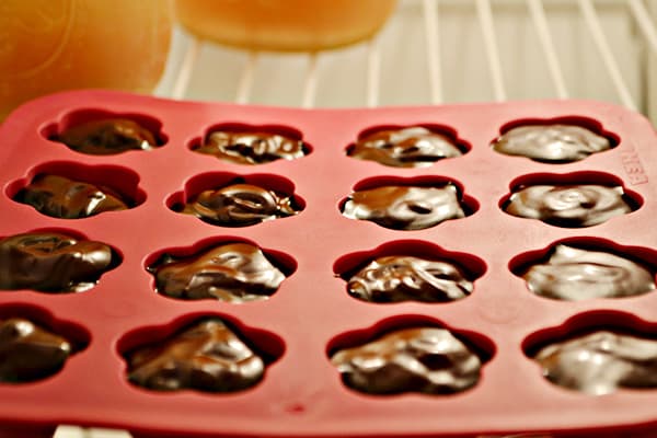 Chocolate freeze in molds