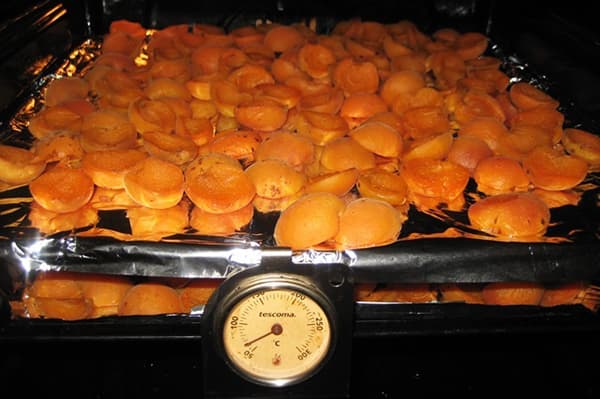Drying apricots in the oven
