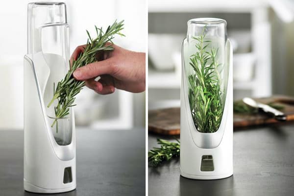 Rosemary in a Vacuum Container