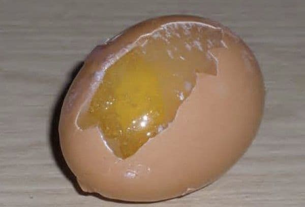 Замразено яйце