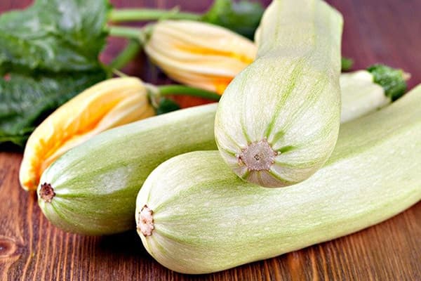 Frisk zucchini