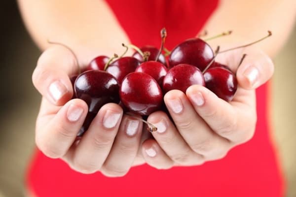 A handful of ripe cherries