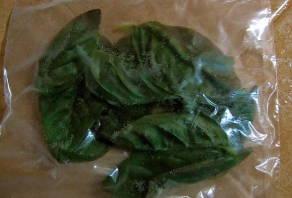 Basil leaves in a package