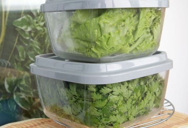 Greens in plastic containers