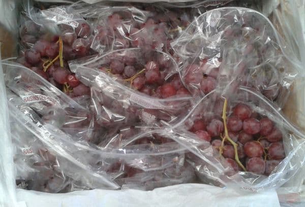 Des raisins dans des sacs
