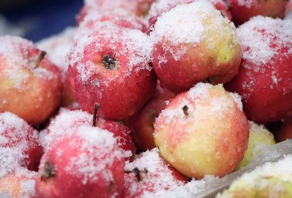 Înghețarea merelor întregi