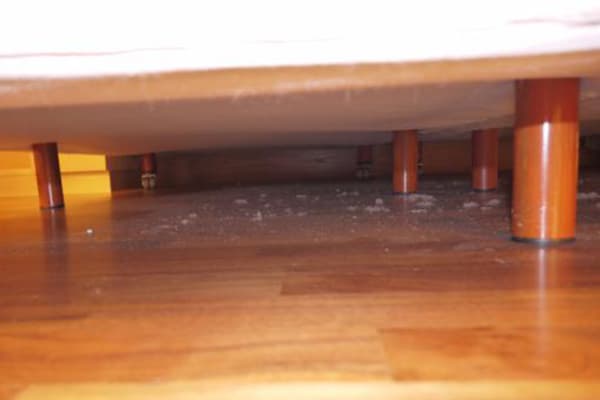 La poussière sous le canapé