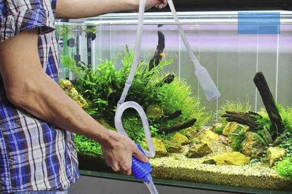 Rengjør akvariet før du bytter vann