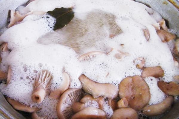 Gătitul ciupercilor