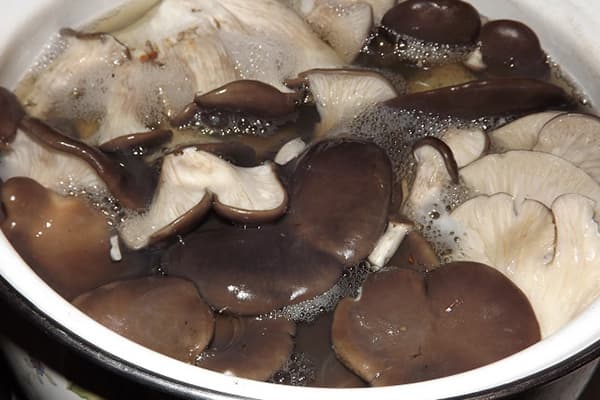 Mushrooms are boiled in a pan